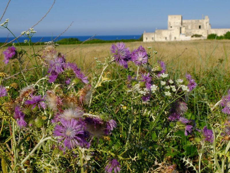 Salento Viaggio Tra Otranto Le Spiagge E I Borghi Della Puglia