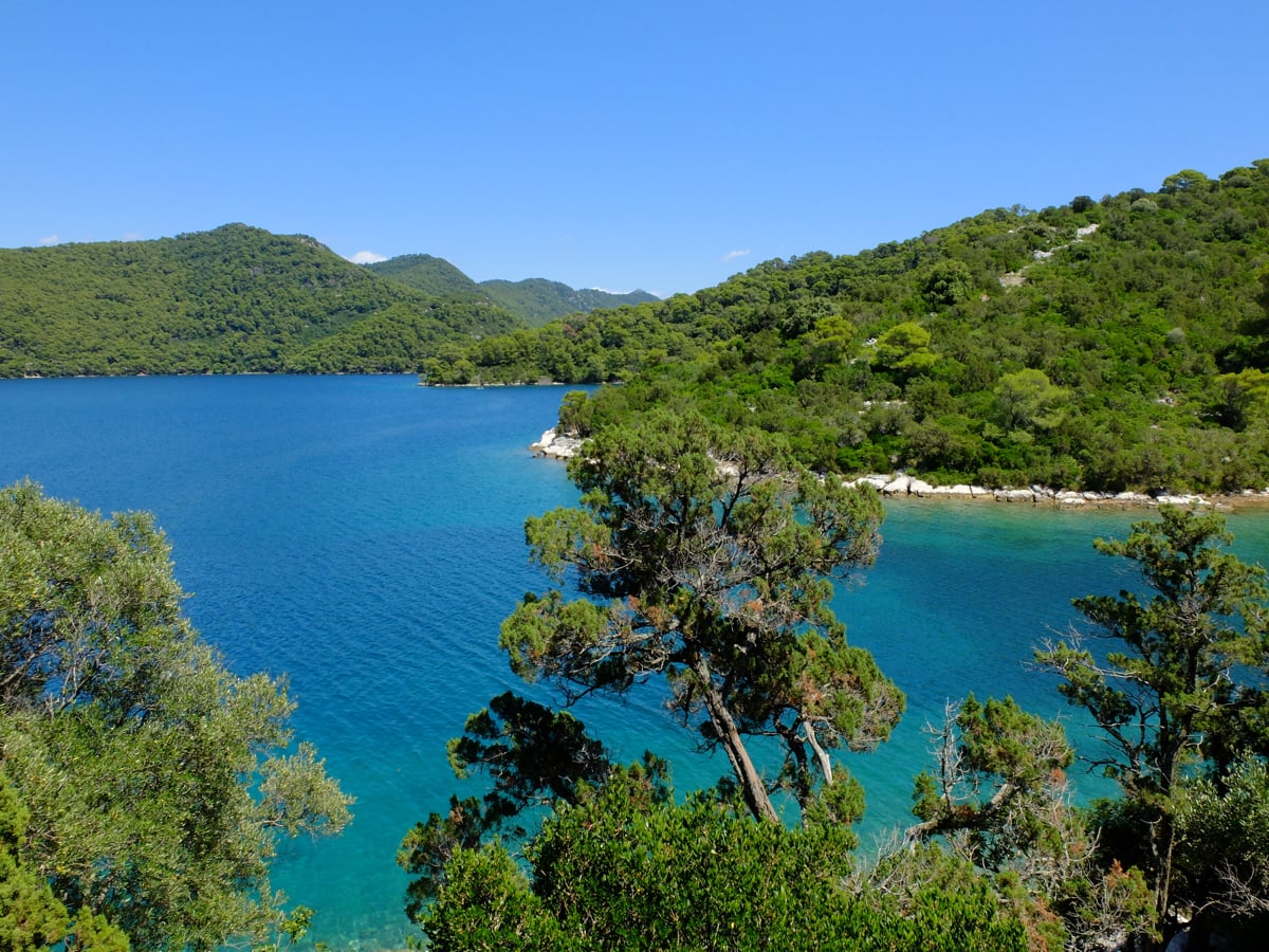 Parco Naturale di Mljet vicino Dubrovnik