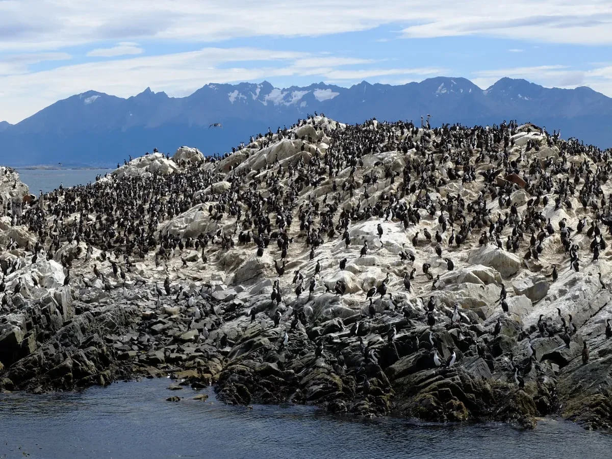 Ushuaia, Canale di Beagle