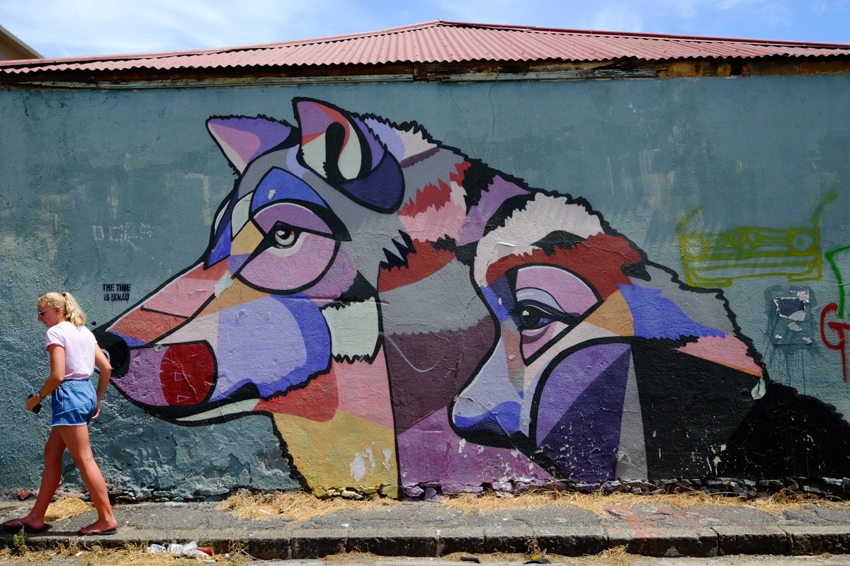 Cape Town - street art a Woodstock