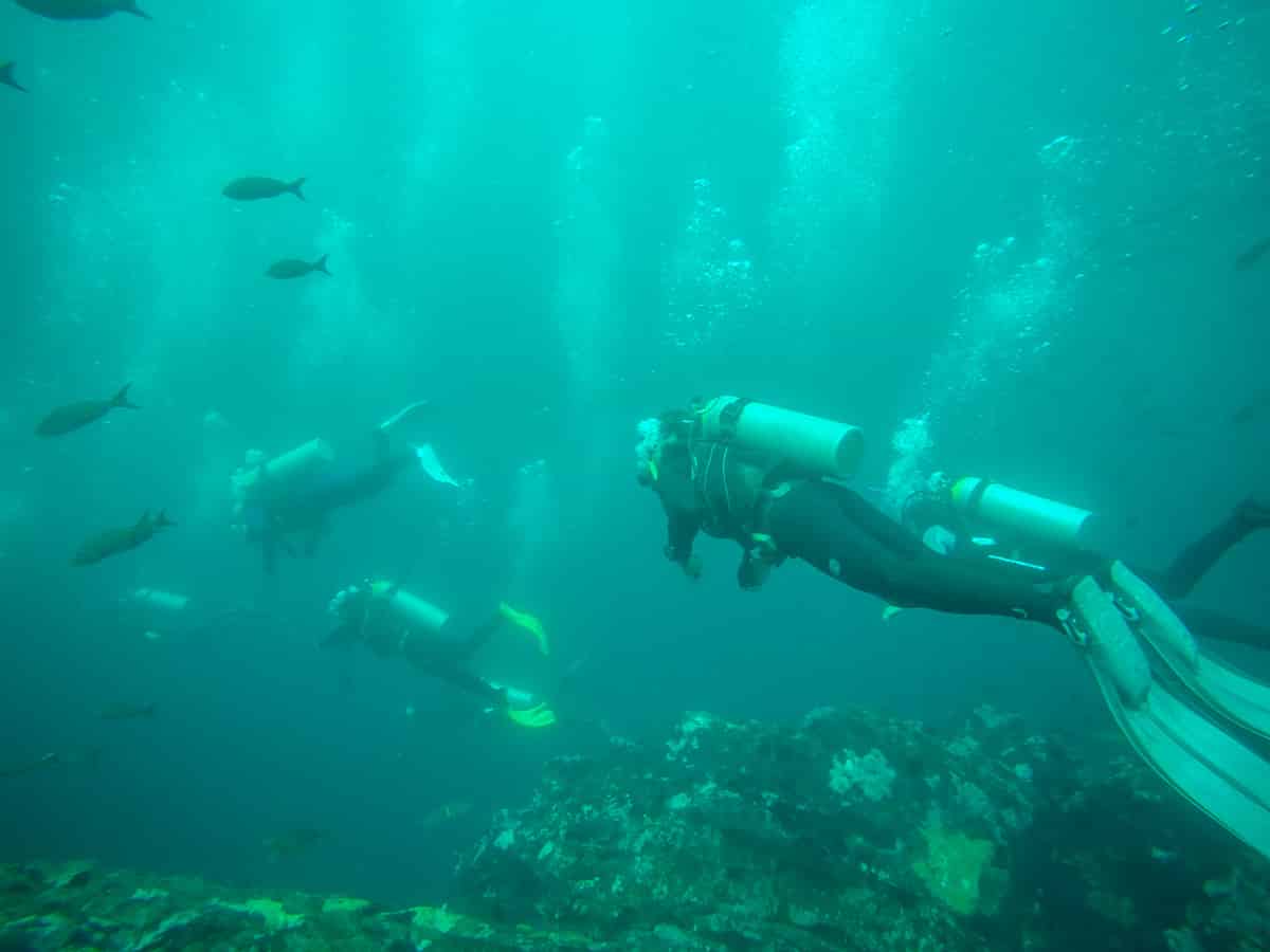 Galapagos - diving