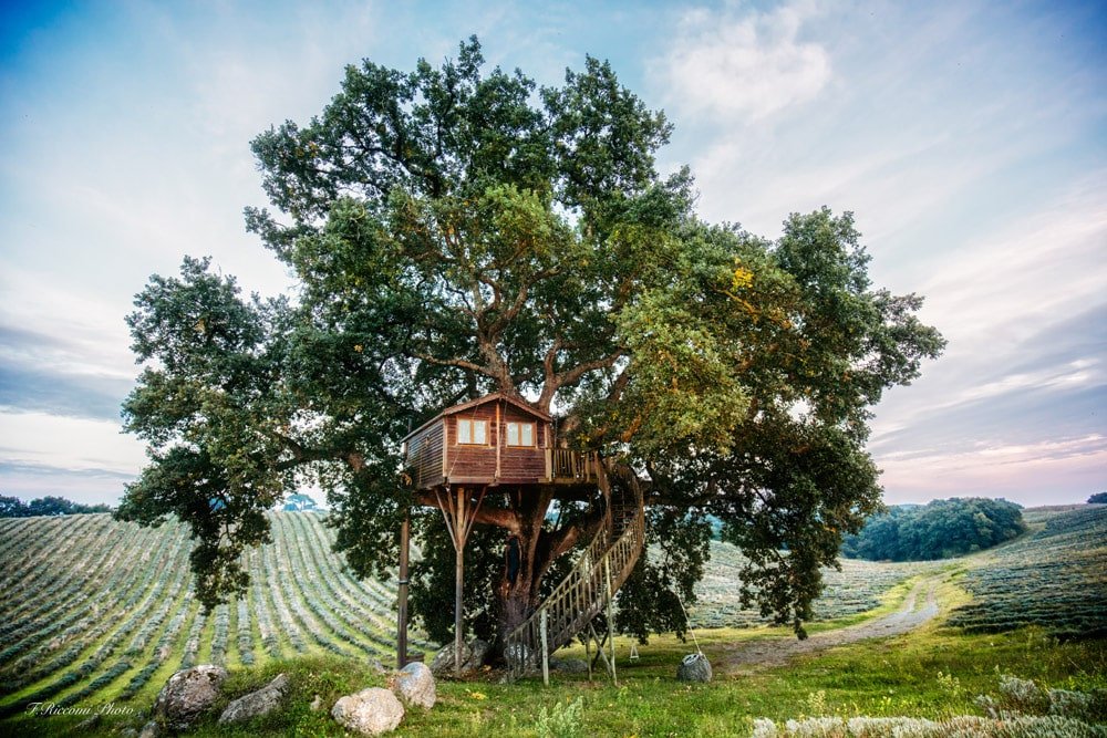 Hotel particolari Italia - casa sull'albero a La Piantata (Viterbo)