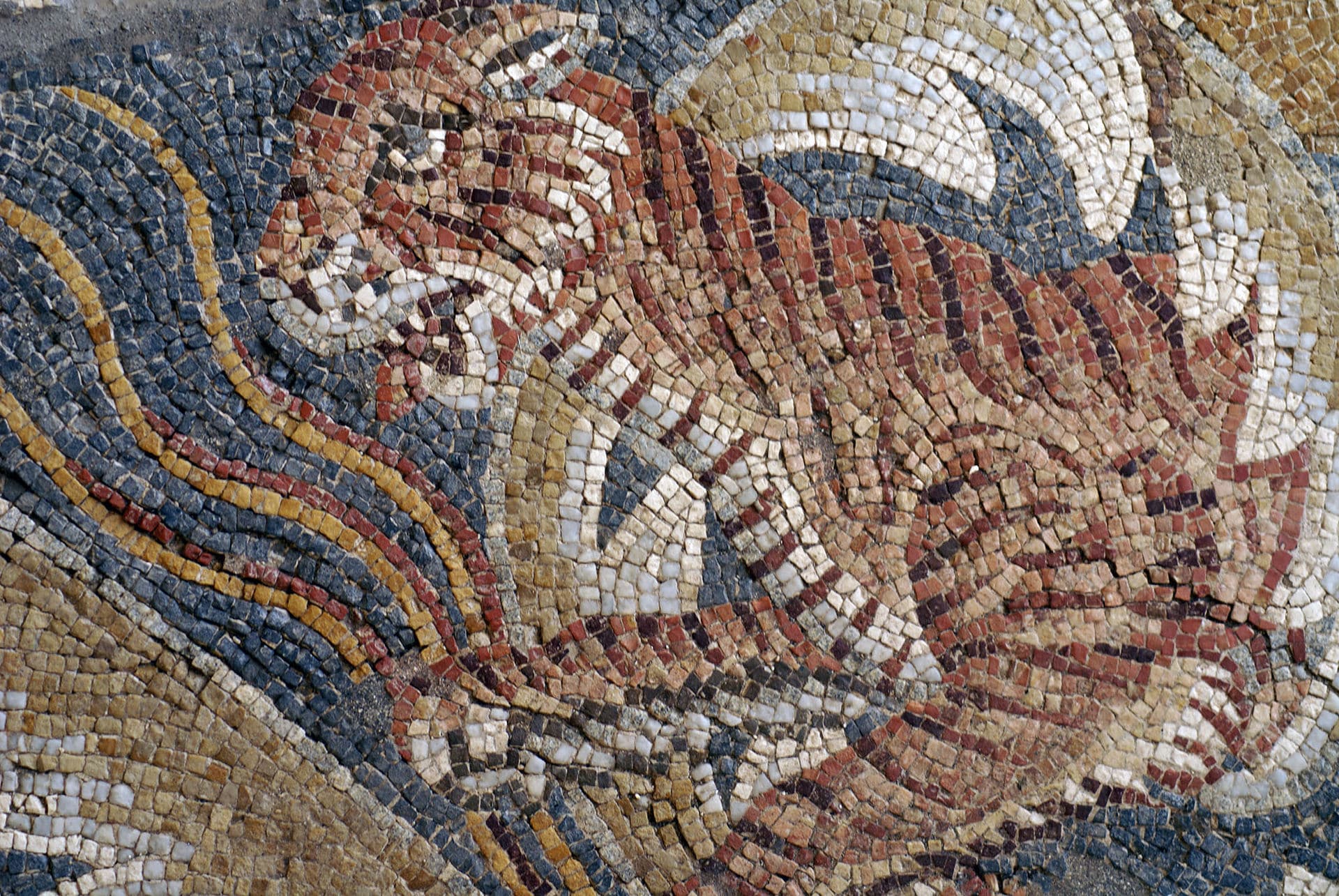 mosaico della Villa del Tellaro