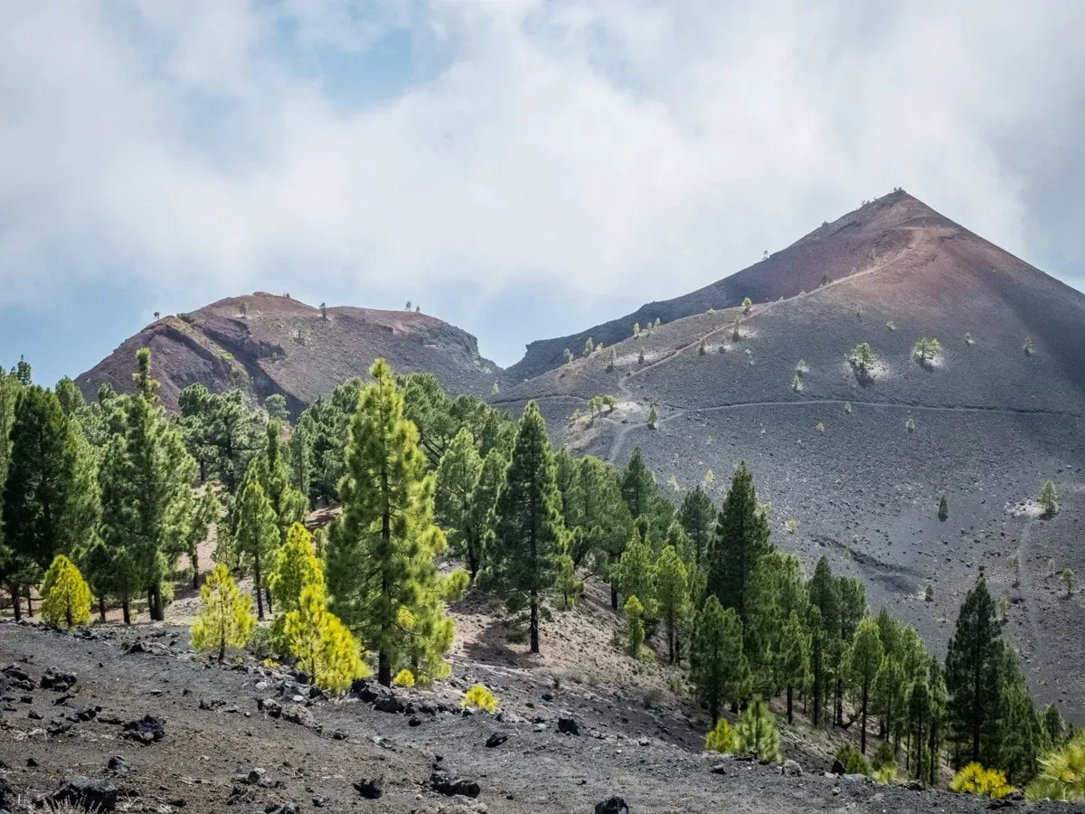 trekking La Palma - routa de los vulcanes