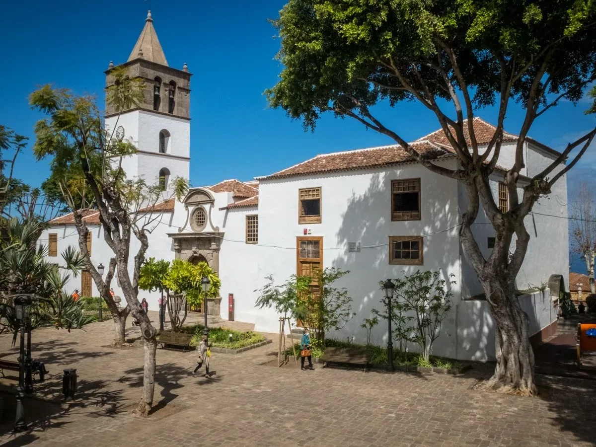 Cosa vedere a Tenerife Sud: Icod de los Vinos