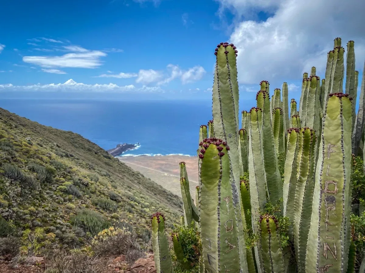 Trekking a Tenerife - Teno Alto