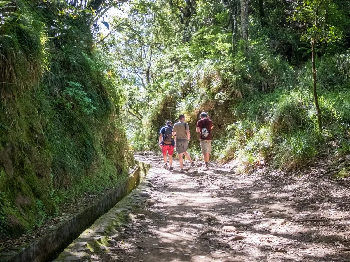 trekking lungo le levadas a Madeira