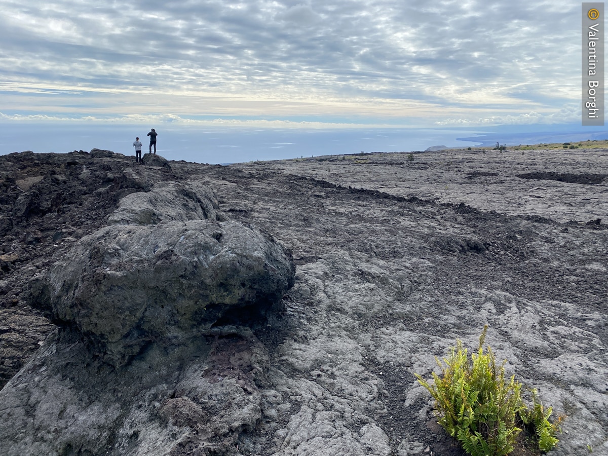 Volcanoes National Park - Big Island - Hawaii