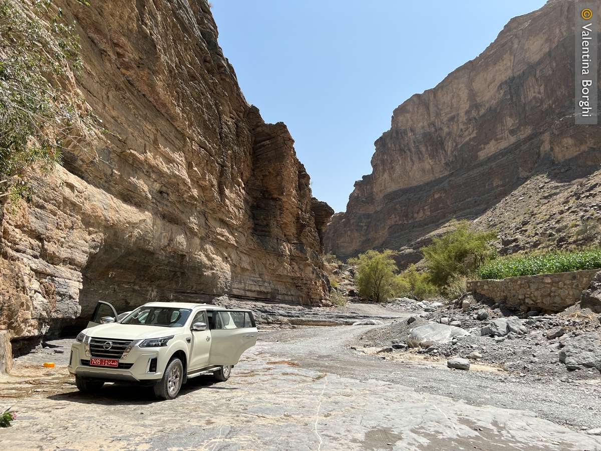 Oman - wadi