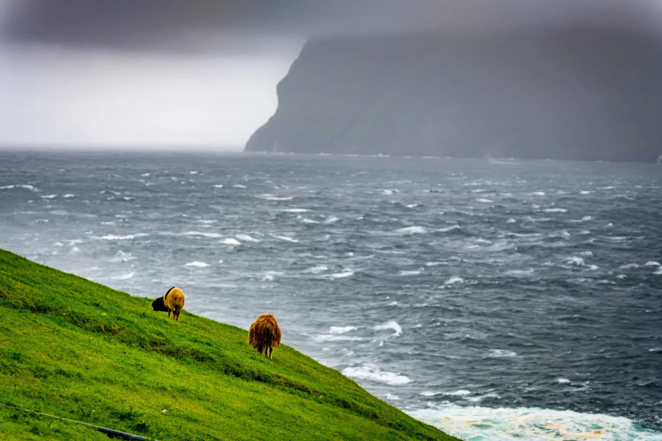 vista sul mare alle Faroe