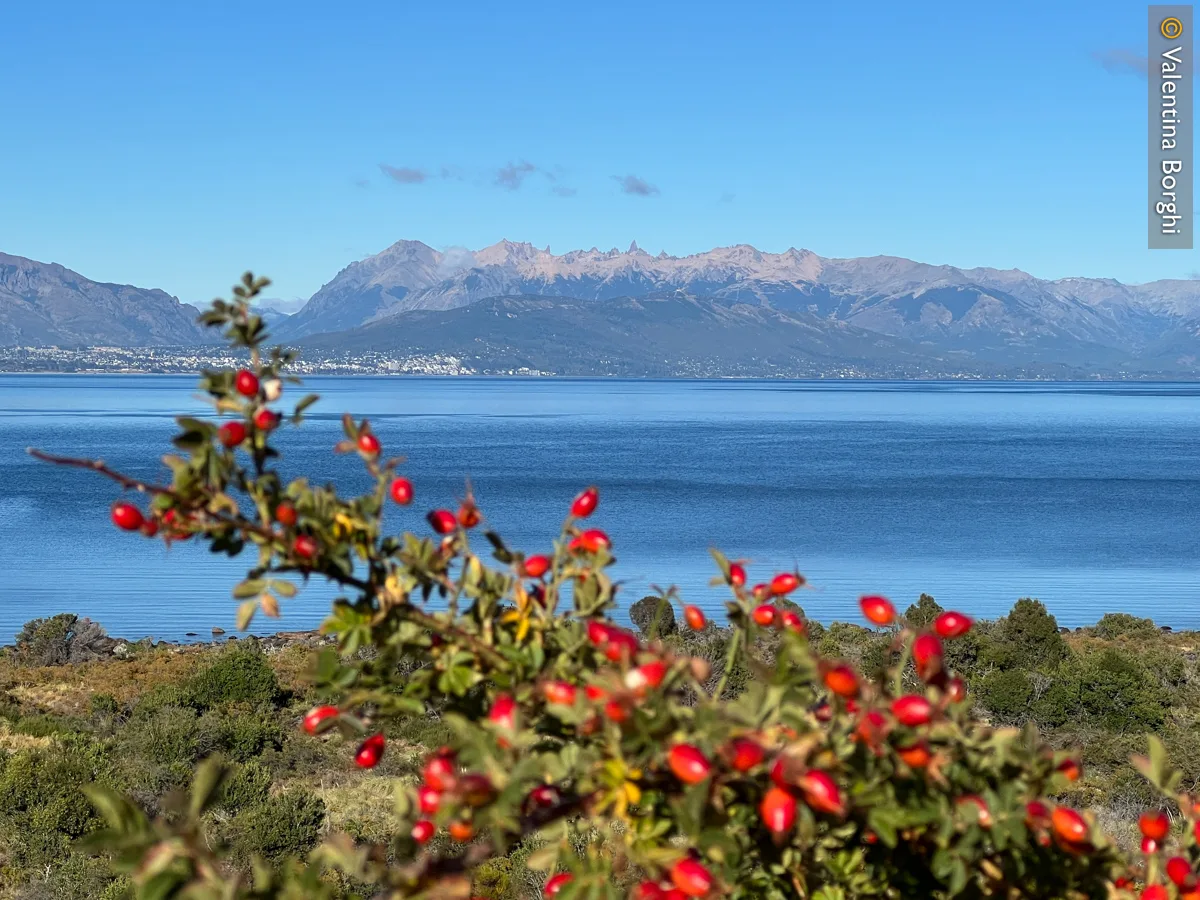 lago Nahuel Huapi, Bariloche 