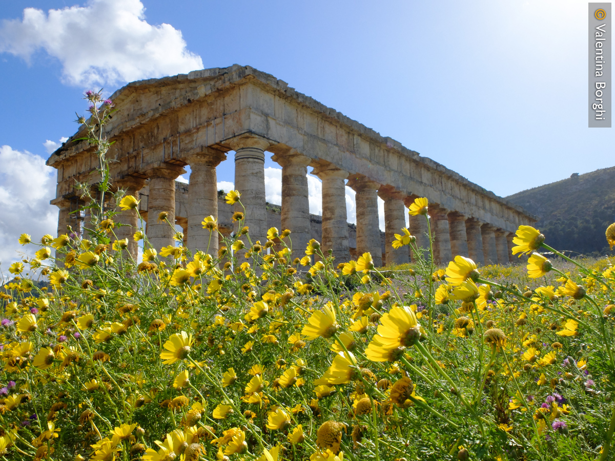Tempio di Segesta, Sicilia