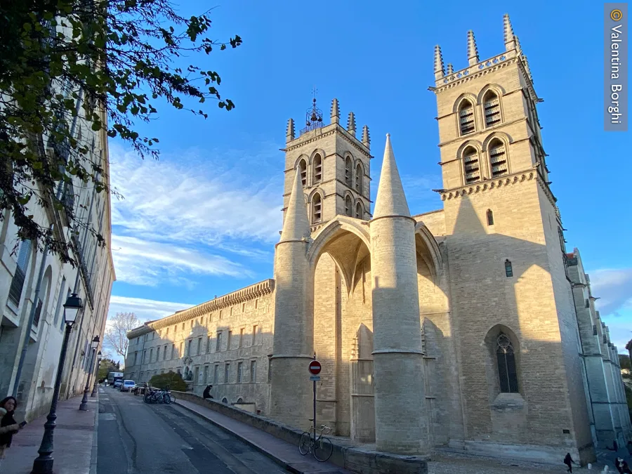 Cattedrale di Saint-Pierre a Montpellier