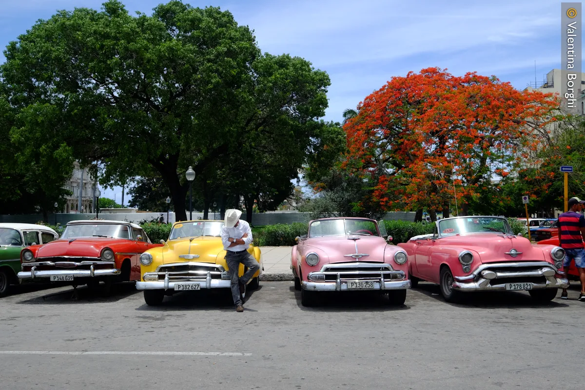 macchine d'epoca a Cuba