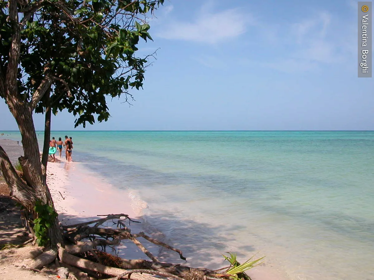 spiaggia di Cajo Jutias, Cuba