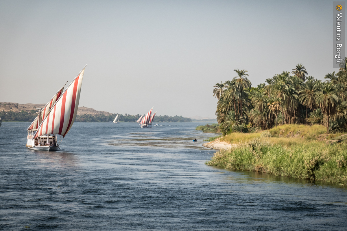 barche a vela sul Nilo, Egitto