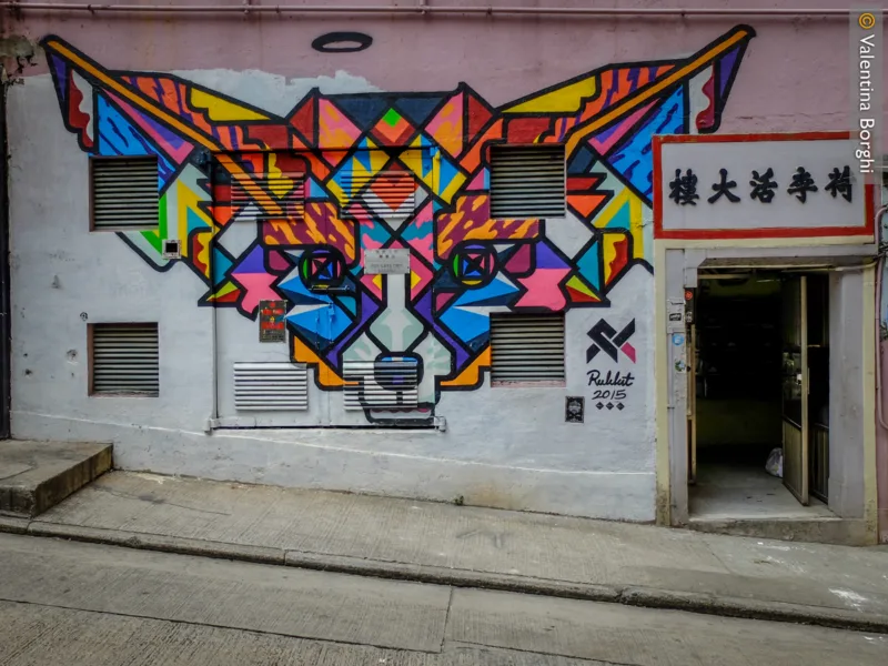 murales nel quartiere storico di Sheung Wan, Hong Kong