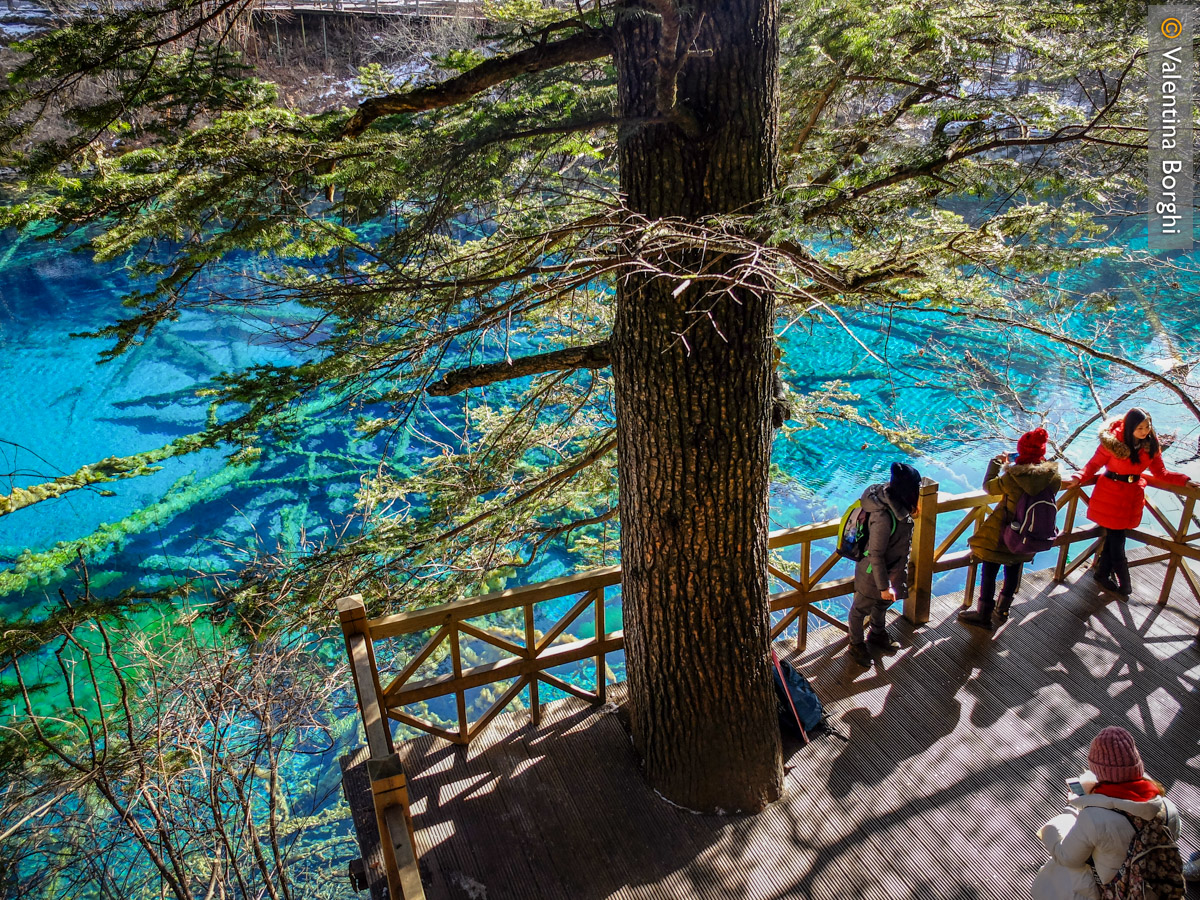 lago nel Parco Nazionale Jiuzhaigou, Sichuan, Cina