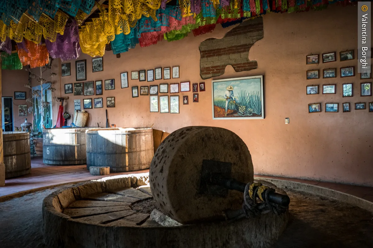 palenque (distilleria di mezcal) vicino Oaxaca