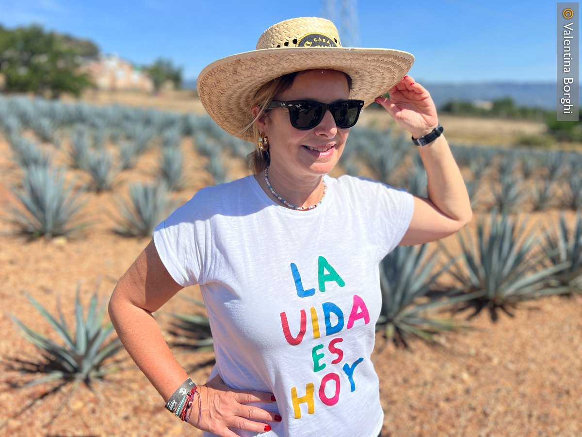 Io in campo di agave blu a Tequila, Messico