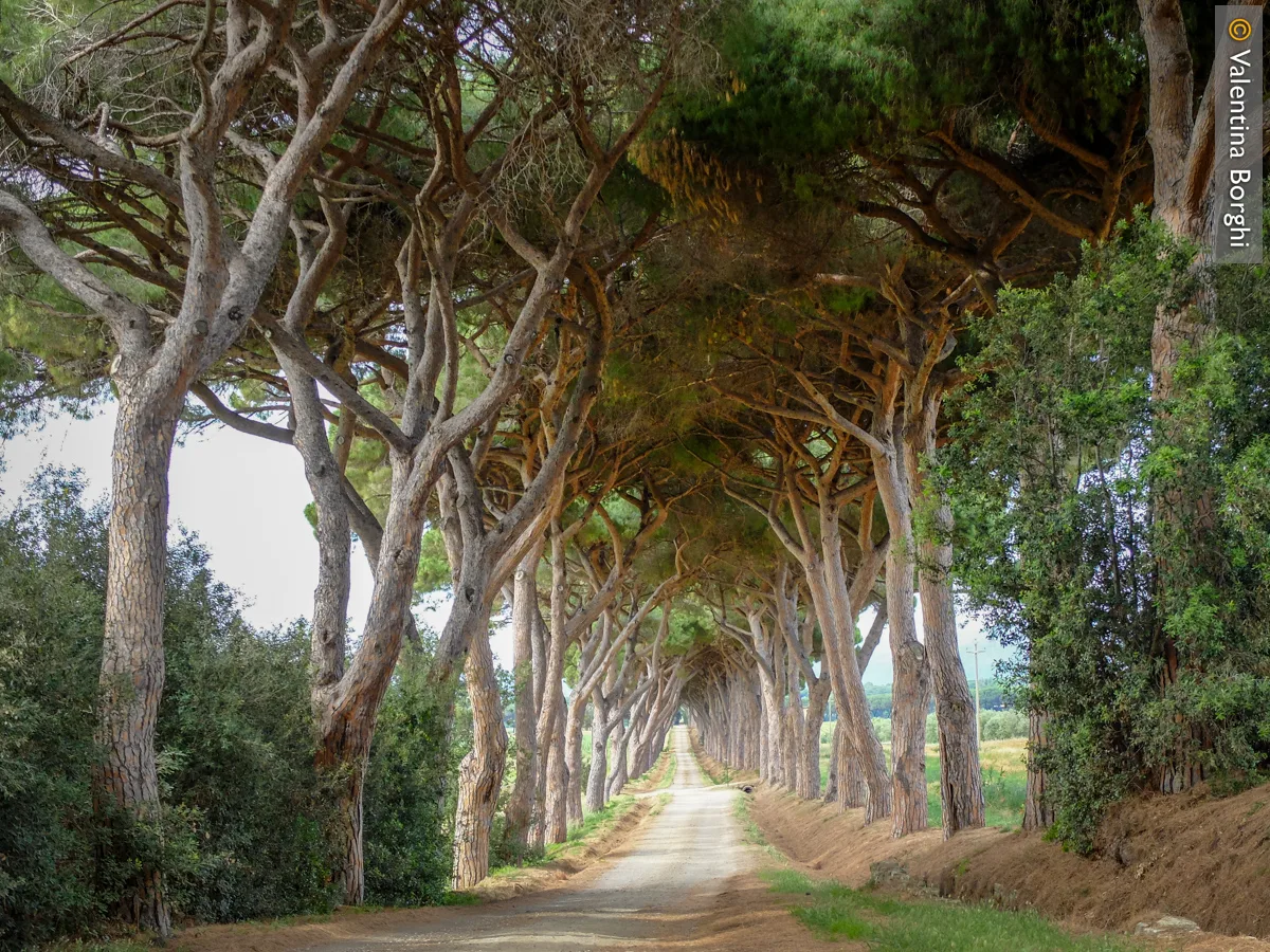 costa degli etruschi mtb 2025