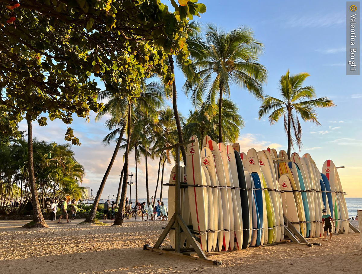tavole da surf a Waikiki Beach, Ohau, Hawaii