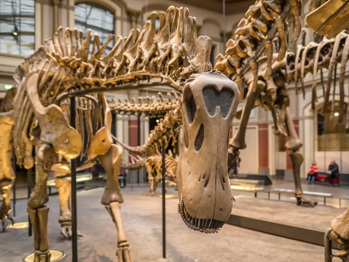 I 10 Musei più belli di Berlino