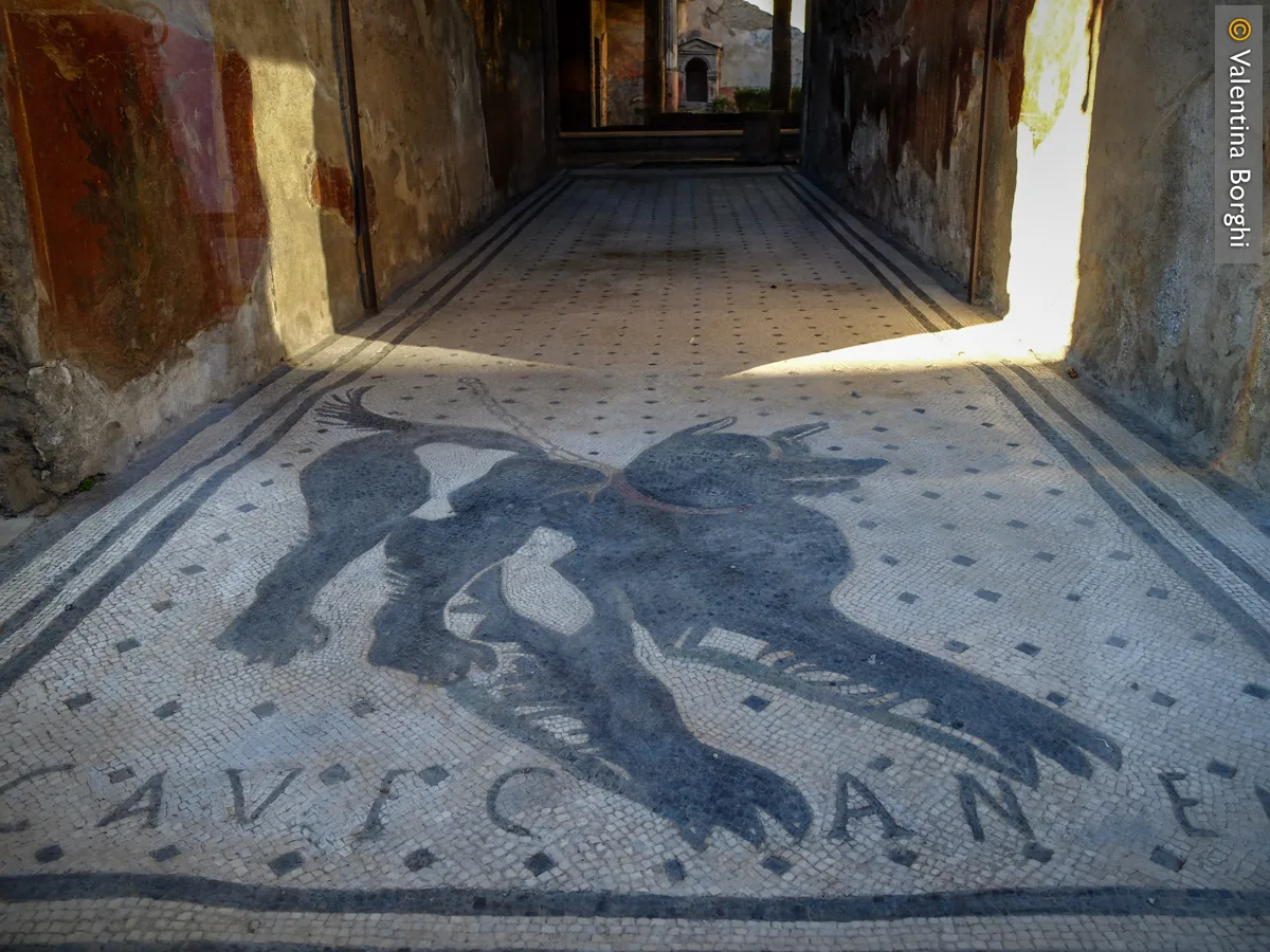 Cave Canem, nella Casa del Poeta tragico, Pompei