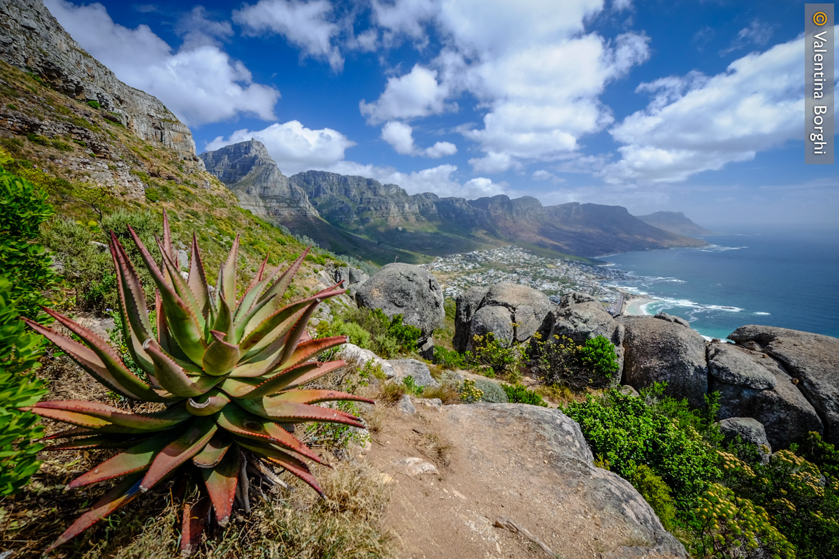 la scenografia naturale di Capetown, Sudafrica