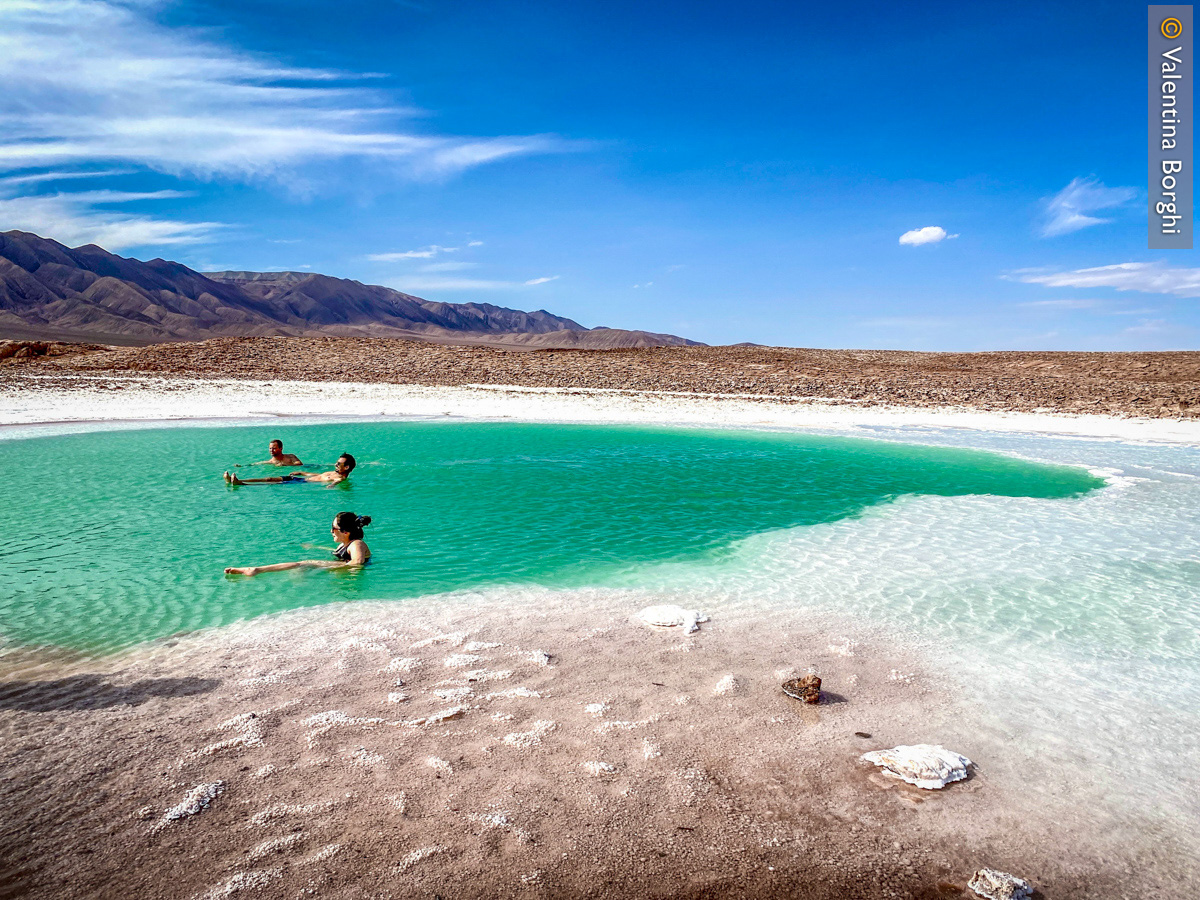 laguna di Baltinache, San Pedro de Atacama, Cile