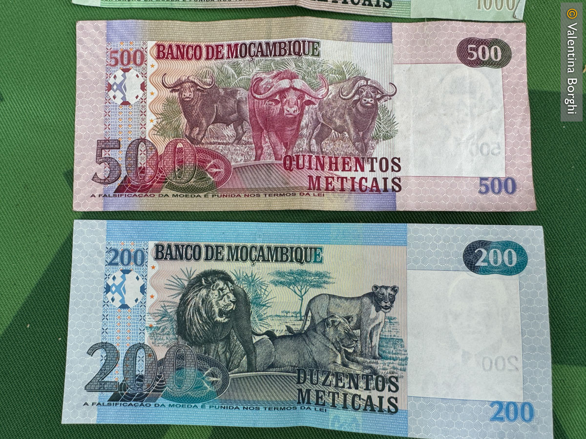 Meticales del Mozambico