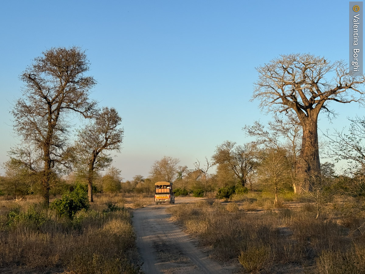 Zinave National Park, Mozambico