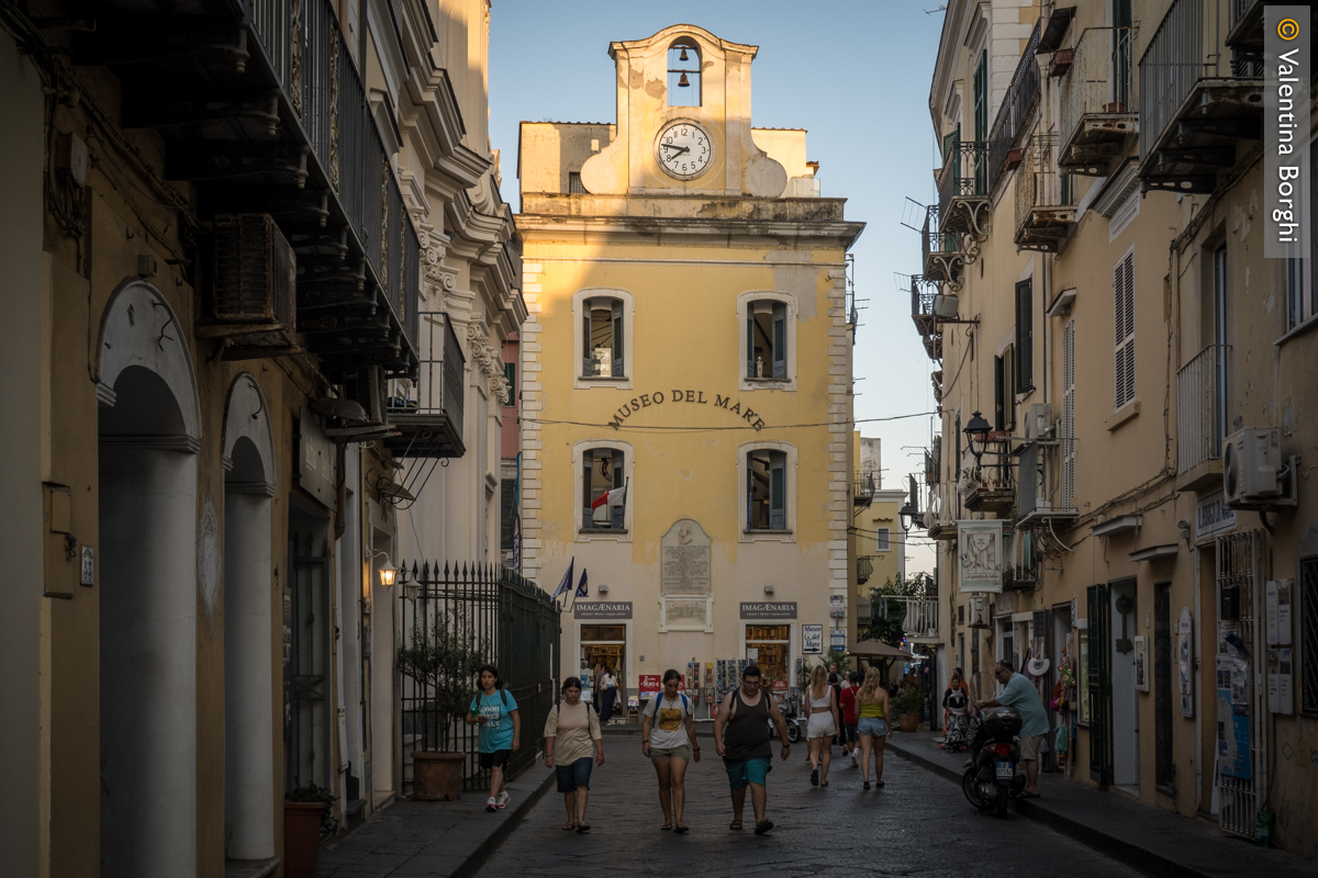 Ischia Porto