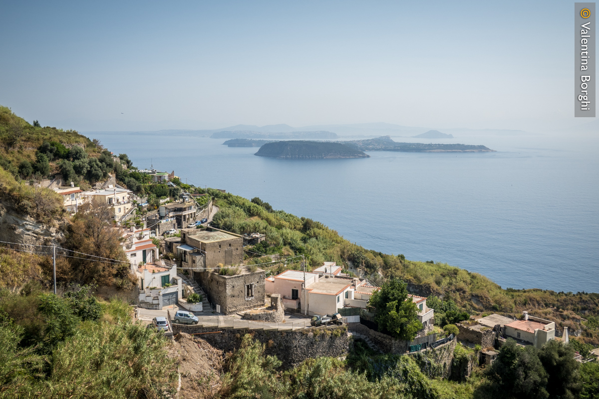 Vista durante un trekking tra i vitigni di Ischia