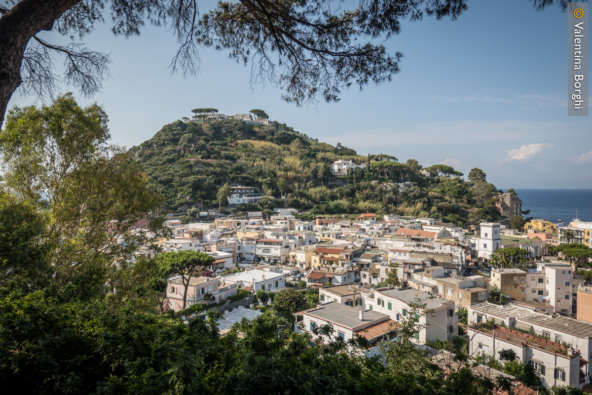 Lacco Ameno vista da Villa Arbusto, Ischia