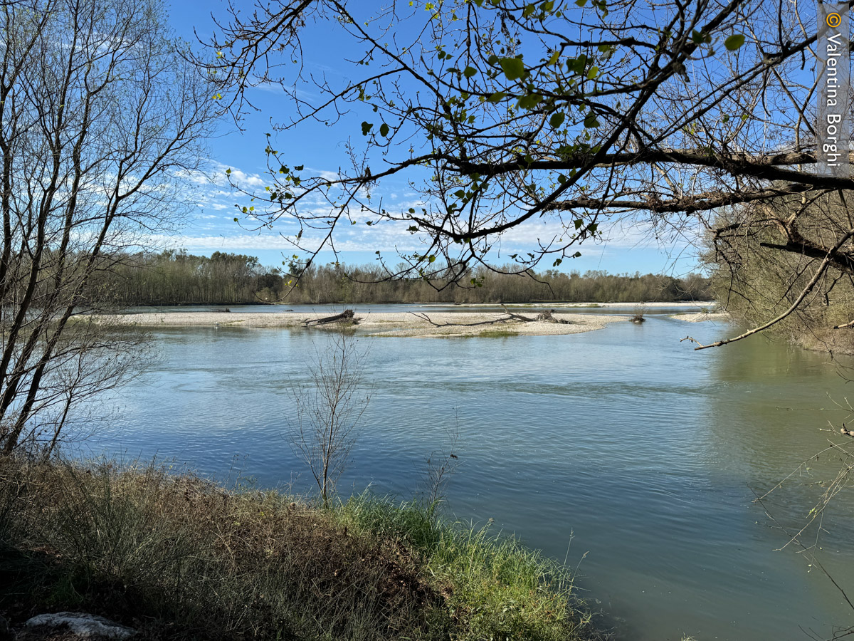 Parco del Ticino, Lombardia