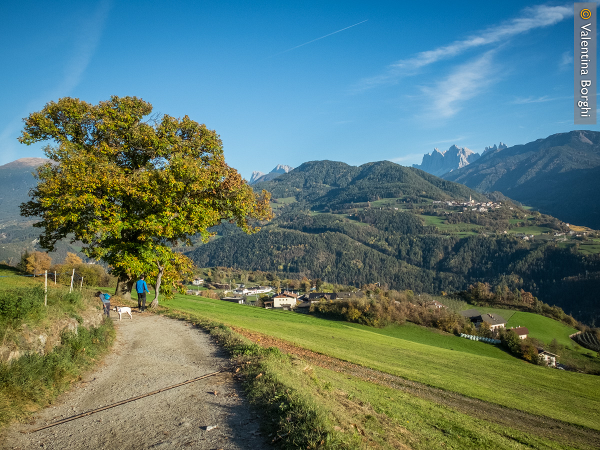 Sentiero delle Castagne, Velturno, Valle Isarco