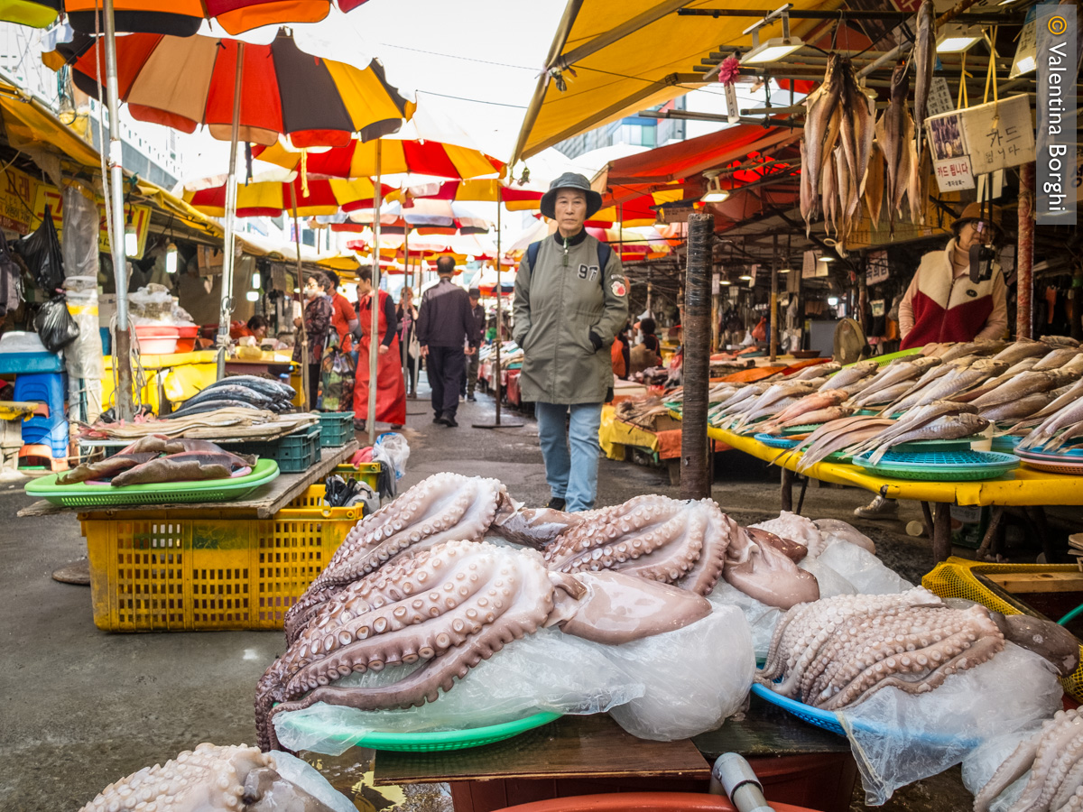 mercato del pesce di Busan, Corea del Sud