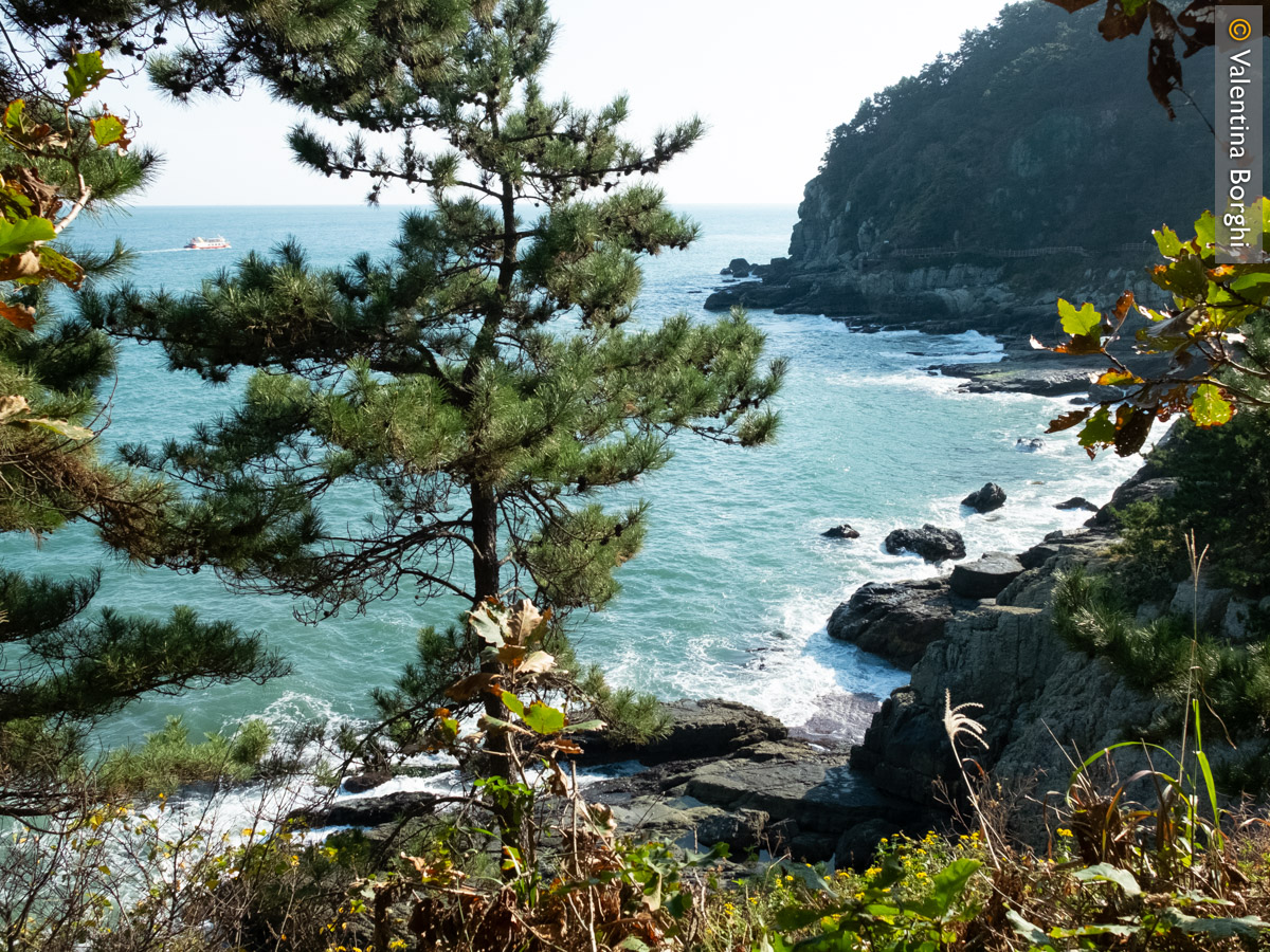 Igidae Coastal Trail, Busan