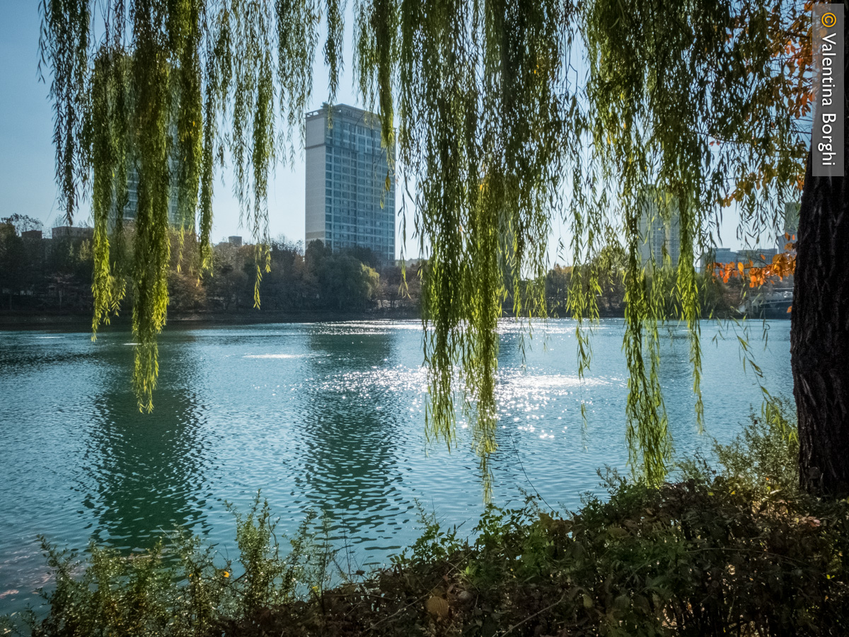 giardini sotto la Lotte World Tower