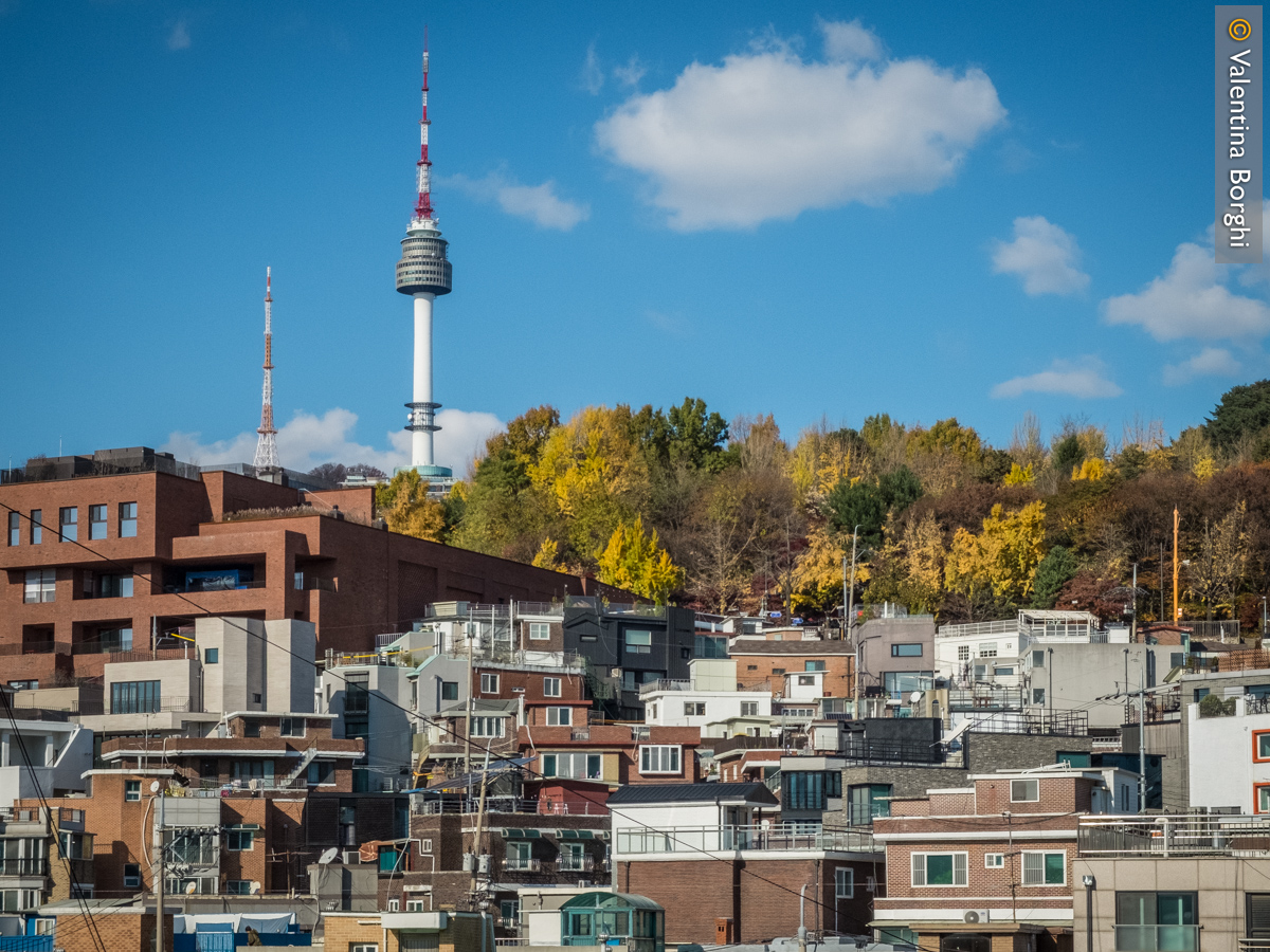 vista del Namsan Park con la Seoul Tower