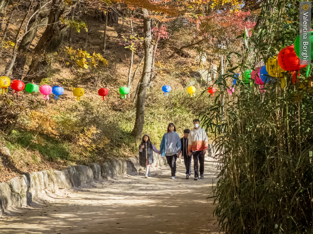 sentiero per raggiungere la Grotta di Seokguram