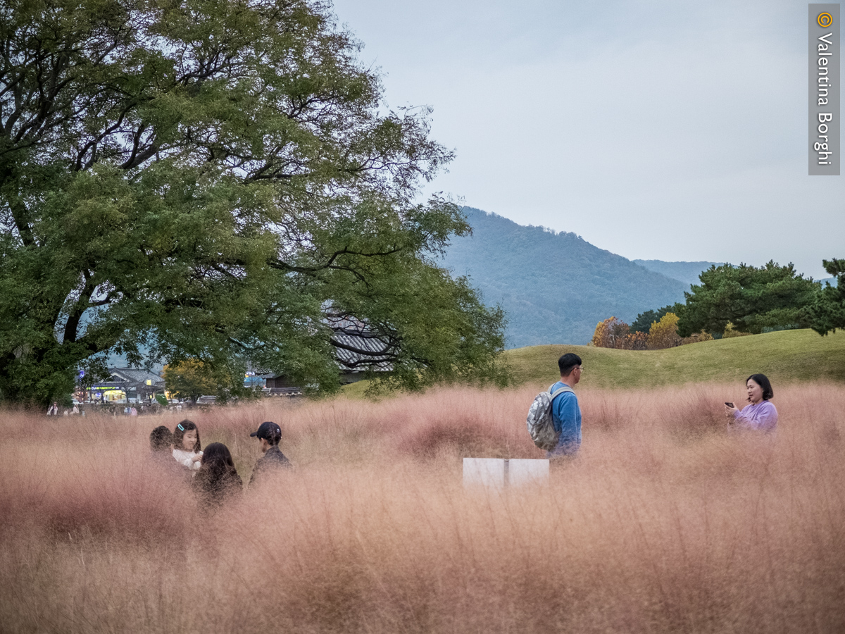 Parco dei Tumuli, Gyeongju