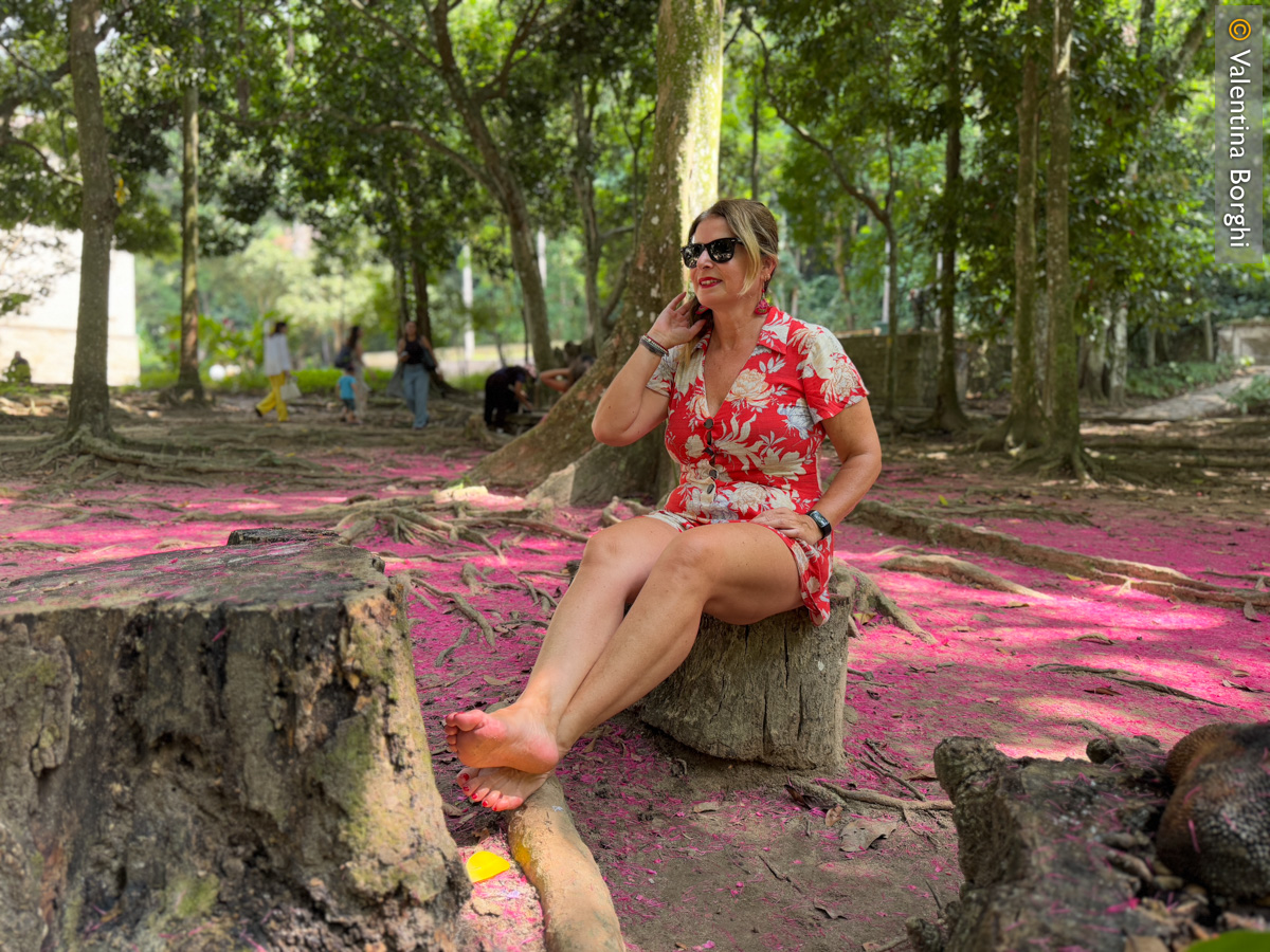 Parque Lage, Rio de Janeiro