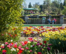 Giardini di Villa Taranto, Pallanza