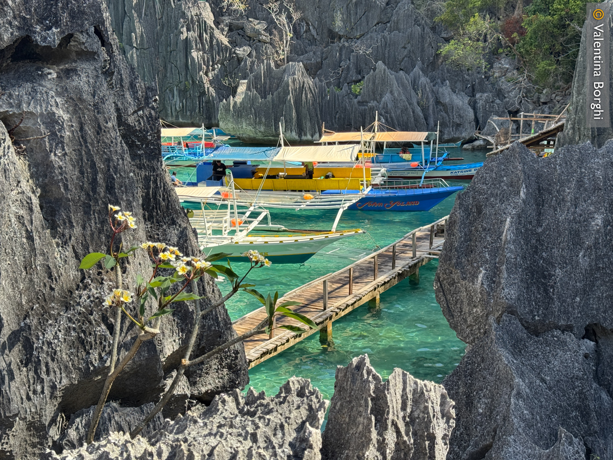 Barracuda Lake, Coron, Palawan
