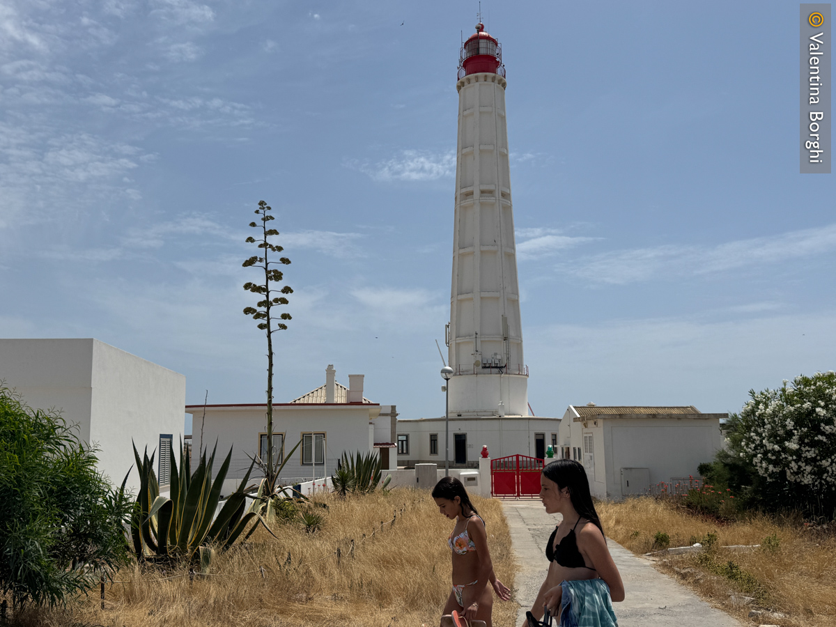 Farol, isola di Culatra