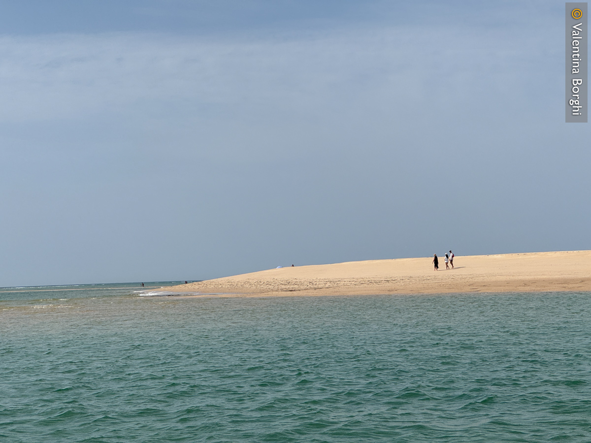 isola di Armona, Olhao