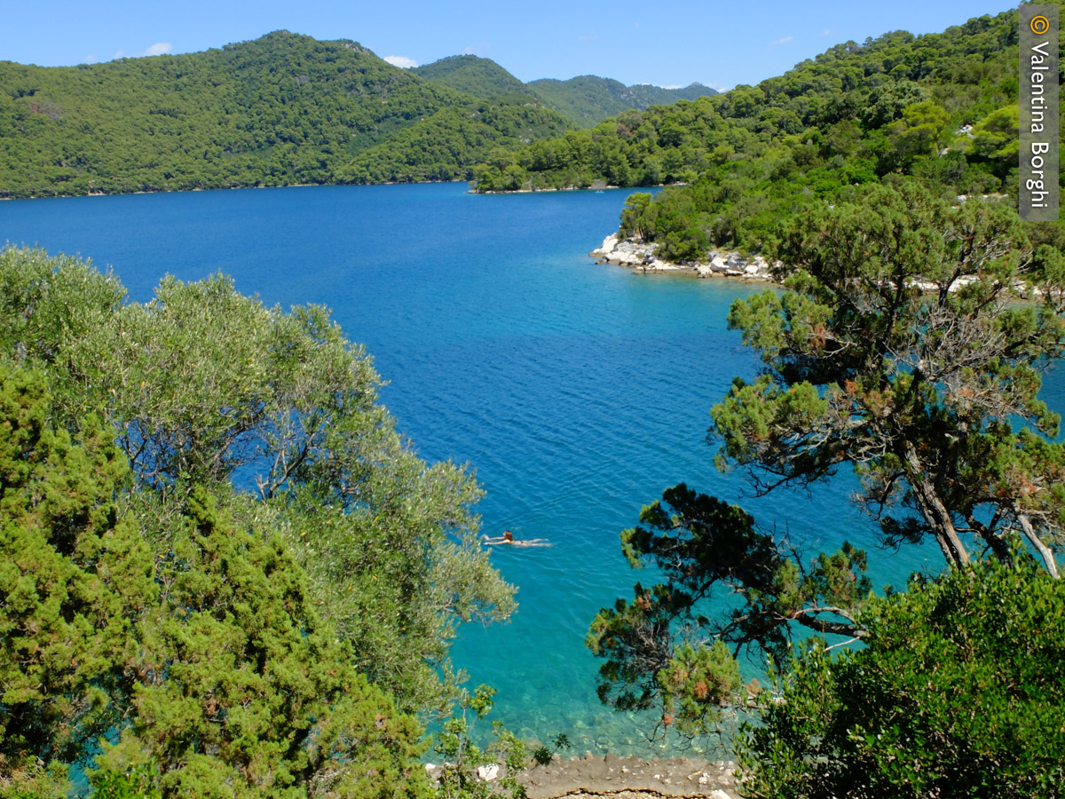 Parco Naturale di Mljet, Croazia
