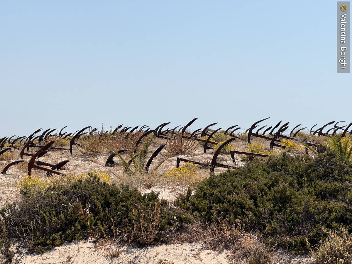 cimitero delle ancore a Praia do Barril, Algarve